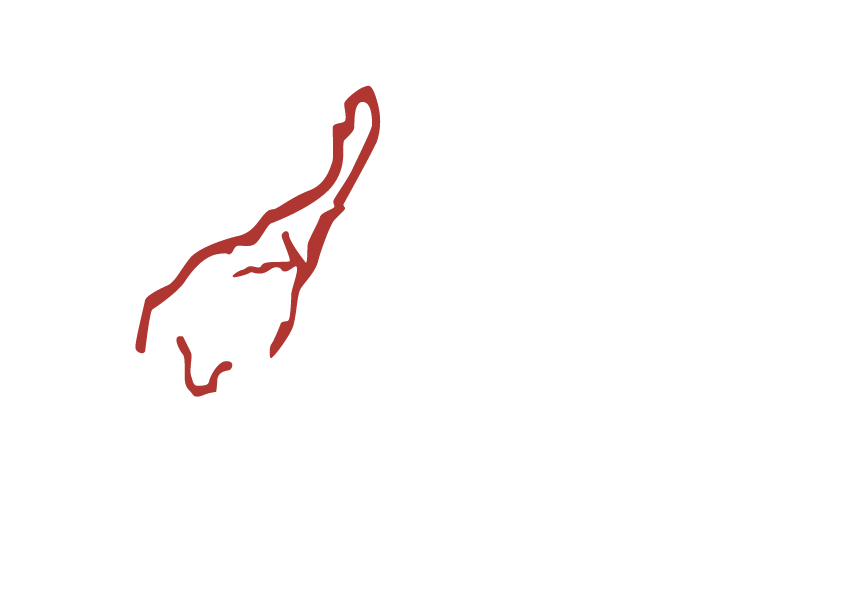logo_valenzuela_blanco